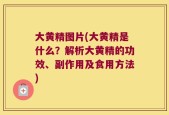 大黄精图片(大黄精是什么？解析大黄精的功效、副作用及食用方法)