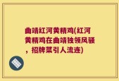 曲靖红河黄精鸡(红河黄精鸡在曲靖独领风骚，招牌菜引人流连)