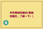 中药黄精花图片(黄精花图片，了解一下！)