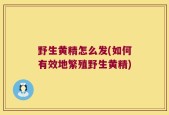 野生黄精怎么发(如何有效地繁殖野生黄精)