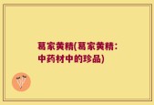 葛家黄精(葛家黄精：中药材中的珍品)