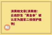 滇黄精文章(滇黄精：云南野生“黄金参”被认定为国家二级保护植物)