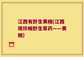 江西有野生黄精(江西现珍稀野生草药——黄精)