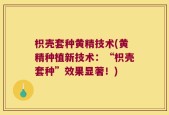 枳壳套种黄精技术(黄精种植新技术：“枳壳套种”效果显著！)