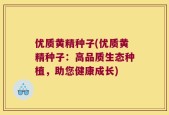 优质黄精种子(优质黄精种子：高品质生态种植，助您健康成长)