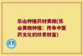 乐山种植药材黄精(乐山黄精种植：传承中医药文化的珍贵财富)