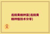 岳阳黄精种苗(岳阳黄精种植技术分享)