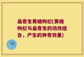桑寄生黄精枸杞(黄精枸杞与桑寄生的功效结合，产生的神奇效果)