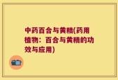中药百合与黄精(药用植物：百合与黄精的功效与应用)
