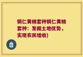 铜仁黄精套种铜仁黄精套种：发掘土地优势，实现农民增收)