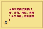 人参当归枸杞黄精(人参、当归、枸杞、黄精：补气养血，滋补佳品)