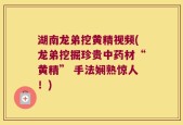 湖南龙弟挖黄精视频(龙弟挖掘珍贵中药材“黄精” 手法娴熟惊人！)