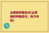 山黄精种植技术(山黄精的种植技术，助力丰收)