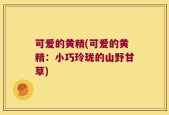 可爱的黄精(可爱的黄精：小巧玲珑的山野甘草)