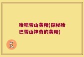 哈吧雪山黄精(探秘哈巴雪山神奇的黄精)