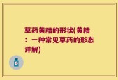草药黄精的形状(黄精：一种常见草药的形态详解)