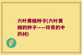 六叶黄精种子(六叶黄精的种子——珍贵的中药材)