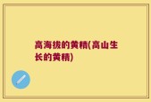 高海拔的黄精(高山生长的黄精)