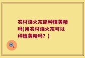 农村烧火灰能种植黄精吗(用农村烧火灰可以种植黄精吗？)