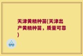 天津黄精种苗(天津出产黄精种苗，质量可靠)