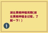 湖北黄精种植周期(湖北黄精种植全过程，了解一下！)