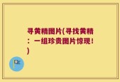 寻黄精图片(寻找黄精：一组珍贵图片惊现！)