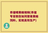养猪喂黄精视频(养猪专家教你如何使用黄精饲料，实现高效生产)