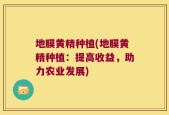 地膜黄精种植(地膜黄精种植：提高收益，助力农业发展)