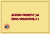 桑葚枸杞黄精榨汁(桑葚枸杞黄精鲜榨果汁)