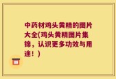 中药材鸡头黄精的图片大全(鸡头黄精图片集锦，认识更多功效与用途！)