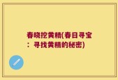 春晓挖黄精(春日寻宝：寻找黄精的秘密)