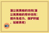 蒲公英黄精的功效(蒲公英黄精的奇妙功效：提升免疫力、保护肝脏、延缓衰老)