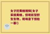 女子挖黄精视频(女子采摘黄精，惊现巨型野生生物，现场录下惊险一幕!)