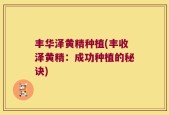 丰华泽黄精种植(丰收泽黄精：成功种植的秘诀)