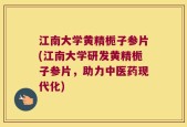 江南大学黄精栀子参片(江南大学研发黄精栀子参片，助力中医药现代化)