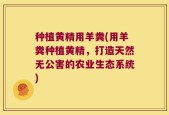 种植黄精用羊粪(用羊粪种植黄精，打造天然无公害的农业生态系统)