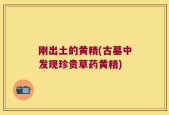 刚出土的黄精(古墓中发现珍贵草药黄精)