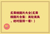 炙黄精图片大全(炙黄精图片合集：美轮美奂，绝对值得一看！)