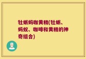 牡蛎蚂咖黄精(牡蛎、蚂蚁、咖啡和黄精的神奇组合)