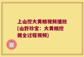上山挖大黄精视频播放(山野珍宝：大黄精挖掘全过程视频)