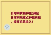 日喀则黄精种植(藏区日喀则现重点种植黄精，提高农民收入)
