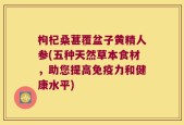 枸杞桑葚覆盆子黄精人参(五种天然草本食材，助您提高免疫力和健康水平)