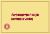 良种黄精种植方法(黄精种植技巧详解)
