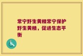 常宁野生黄精常宁保护野生黄精，促进生态平衡