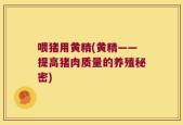 喂猪用黄精(黄精——提高猪肉质量的养殖秘密)