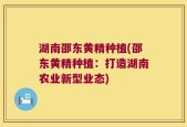 湖南邵东黄精种植(邵东黄精种植：打造湖南农业新型业态)