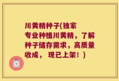 川黄精种子(独家  专业种植川黄精，了解种子储存需求，高质量收成， 现已上架！)