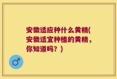 安徽适应种什么黄精(安徽适宜种植的黄精，你知道吗？)
