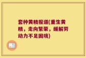 套种黄精报道(重生黄精，走向繁荣，缓解劳动力不足困境)