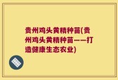 贵州鸡头黄精种苗(贵州鸡头黄精种苗——打造健康生态农业)